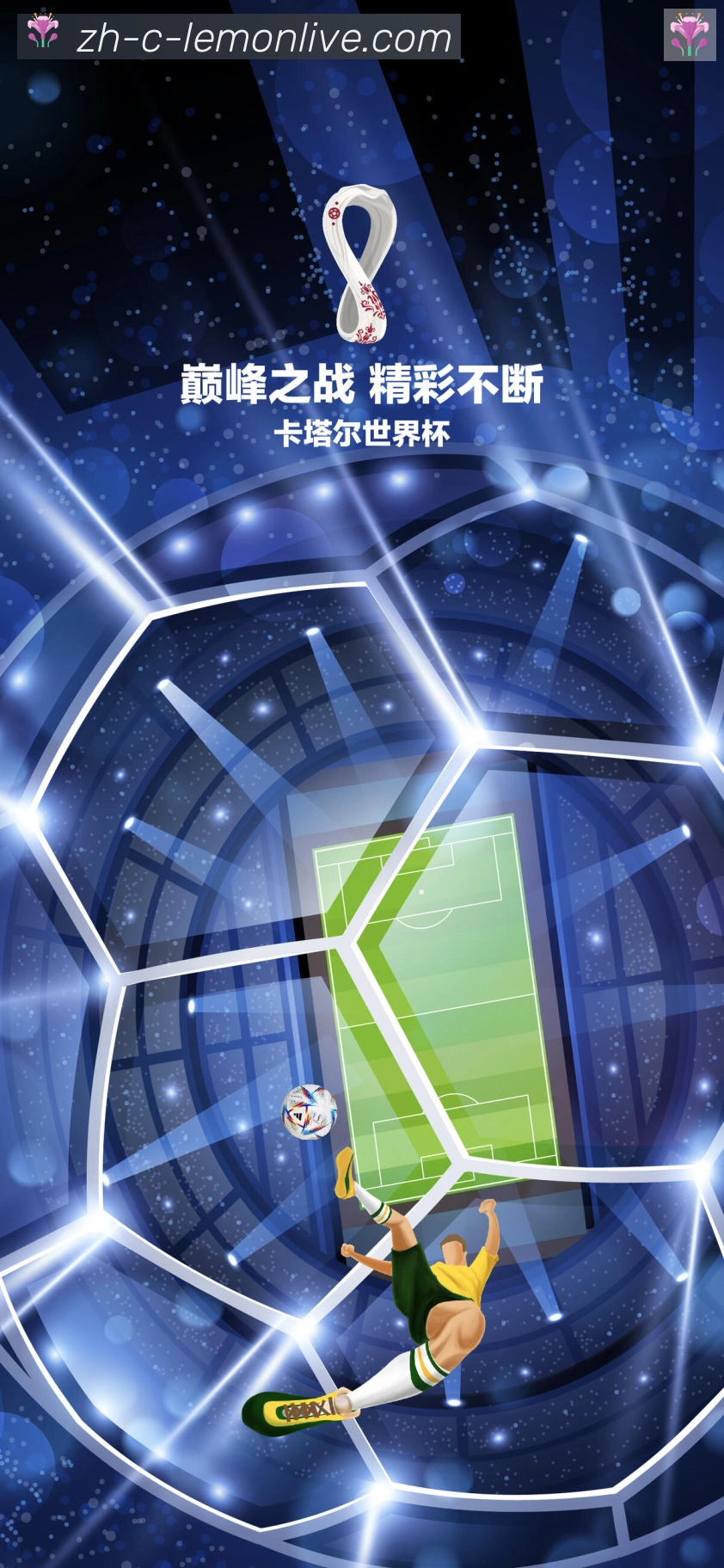 登录器